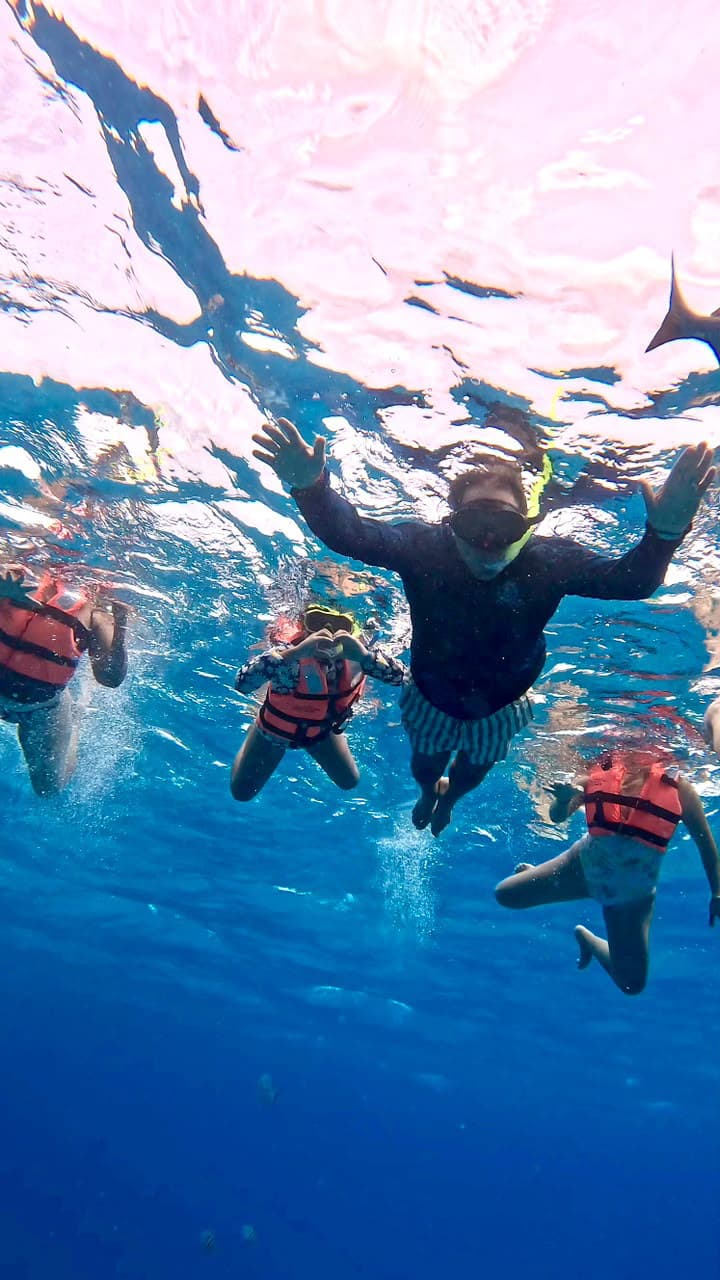 Guests snorkeling underwater during a private charter in Cancún