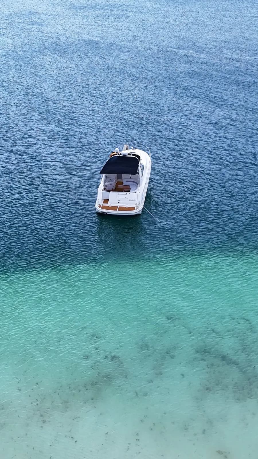 Un grupo animado celebrando a bordo de un yate privado en Cancún