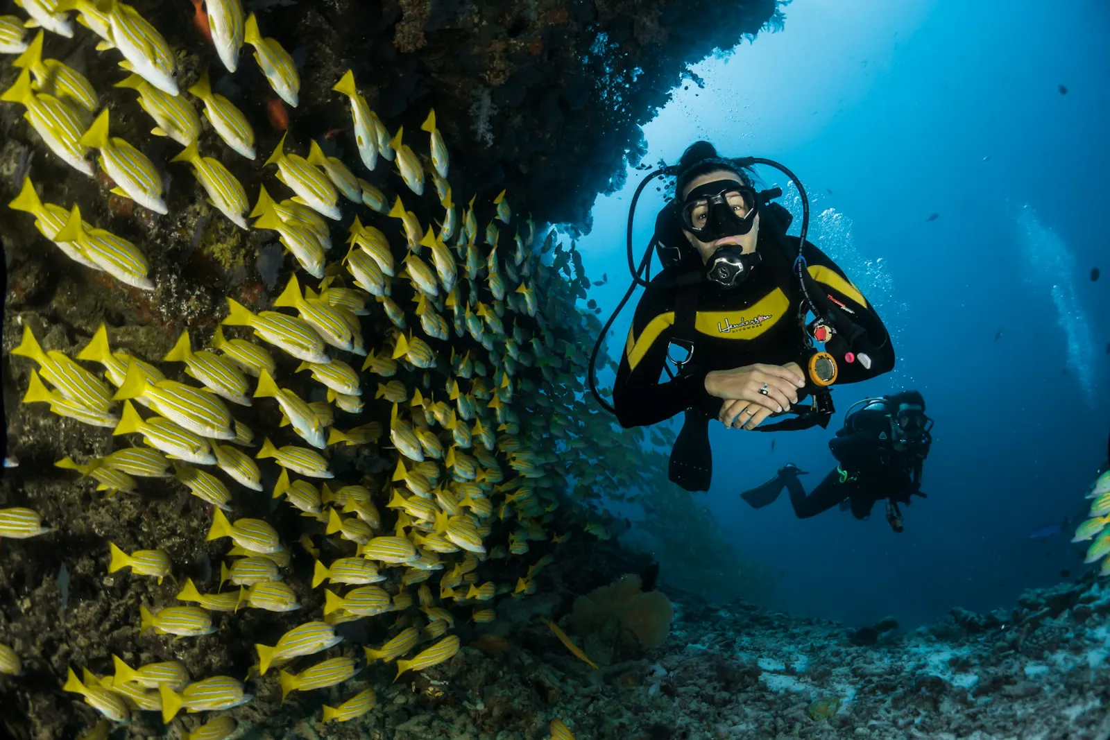 A Caribbean underwater moment for guests who love marine life